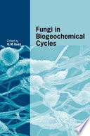 Fungi in biogeochemical cycles /