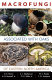 Macrofungi associated with oaks of eastern North America /