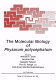 The molecular biology of Physarum polycephalum /