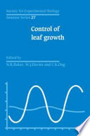 Control of leaf growth /