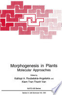 Morphogenesis in plants : molecular approaches /