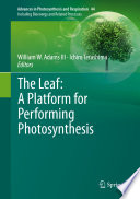 The Leaf: A Platform for Performing Photosynthesis /
