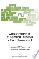 Cellular integration of signalling pathways in plant development /