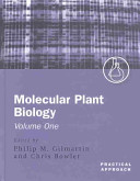 Molecular plant biology : a practical approach /