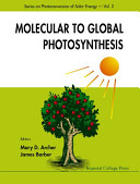 Molecular to global photosynthesis /