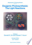 Oxygenic photosynthesis : the light reactions /