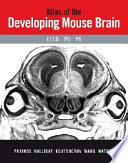 Atlas of the developing mouse brain : at E17.5, PO, and P6 /
