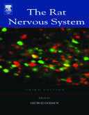 The rat nervous system /