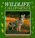 Wildlife California.