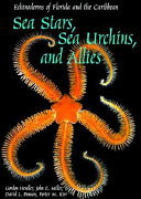 Sea stars, sea urchins, and allies : echinoderms of Florida and the Caribbean /
