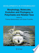 Morphology, molecules, evolution and phylogeny in polychaeta and related taxa /