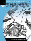 Spiders, insects and crustaceans.