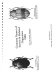 Common names of insects & related organisms, 1989 /