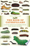 The book of caterpillars : a life-size guide to six hundred species from around the world /