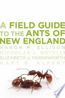 A field guide to the ants of New England /