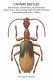 Carabid beetles : their evolution, natural history and classification : proceedings of the first International Symposium of Carabidology, Smithsonian Institution, Washington, D.C., August 21, 23, and 25, 1976 /