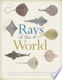 Rays of the world /