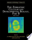 The zebrafish : cellular and developmental biology.