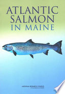 Atlantic salmon in Maine /