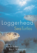 Loggerhead sea turtles /