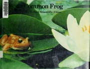 Common frog /