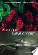Xenopus development /