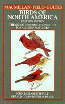 Birds of North America. a quick identification guide to common birds /