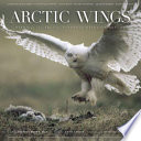 Arctic wings : birds of the Arctic National Wildlife Refuge /