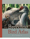The breeding bird atlas of Georgia /