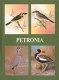 Petronia : fifty years of post-independence ornithology in India : a centenary dedication to Dr. Sálim Ali, 1896-1996 /