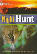Night hunt.