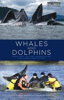 Whales and dolphins : cognition, culture, conservation and human perceptions /