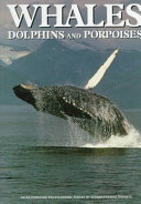 Whales, dolphins & porpoises /