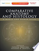 Comparative anatomy and histology : a mouse and human atlas /