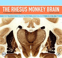 The rhesus monkey brain in stereotaxic coordinates /