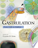 Gastrulation : from cells to embryo /