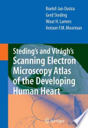 Steding's and  Virágh's scanning electron microscopy atlas of the developing human heart /