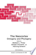 The neocortex : ontogeny and phylogeny /