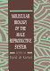 Molecular biology of the male reproductive system /