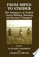 From biped to strider : the emergence of modern human walking, running, and resource transport /