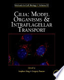 Cilia : Model Organisms and Intraflagellar Transport /