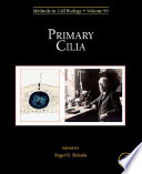 Primary Cilia /