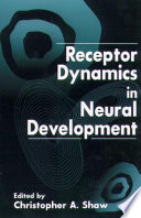 Receptor dynamics in neural development /