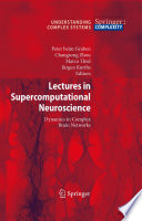 Lectures in supercomputational neuroscience : dynamics in complex brain networks /