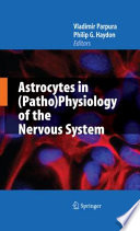 Astrocytes in (patho)physiology of the nervous system /