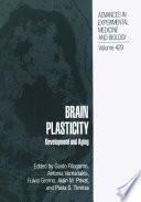 Brain plasticity : development and aging /