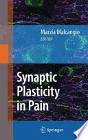 Synaptic plasticity in pain /
