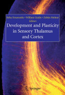 Development and plasticity in sensory thalamus and cortex /