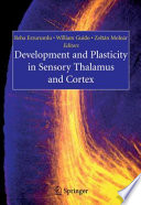 Development and plasticity in sensory thalamus and cortex /