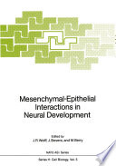 Mesenchymal-epithelial interactions in neural development /